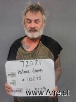 James Windell Palmer Mugshot