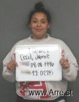 Jamie Cheyenne-michelle Cecil Mugshot