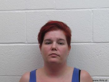 Jamie Lynn Martin Mugshot