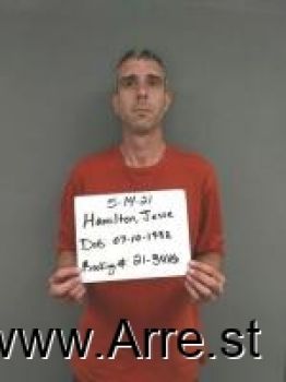 Jesse Taylor Hamilton Mugshot