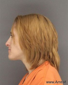 Jessica Sue Ashley Mugshot