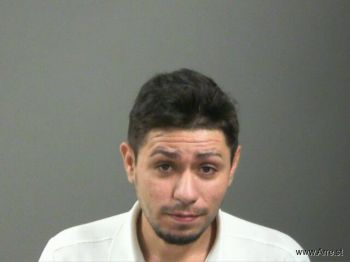 Johnny  Rivera-villatoro Mugshot