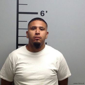 Jose Adrian Almanza-anaya Mugshot