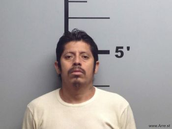 Jose Luiz Anguiano-aldaco Mugshot