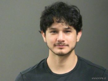 Jose  Magana Mugshot