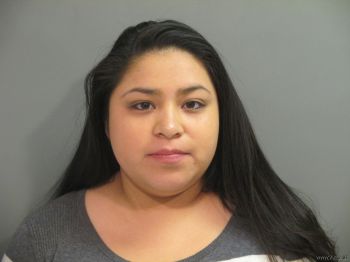 Joselin  Estrada Mugshot