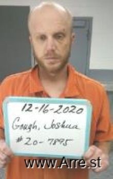 Joshua Michael Gough Mugshot