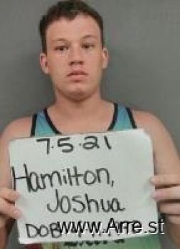 Joshua Allen Hamilton Mugshot