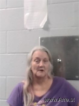 Judy Kay Wilson Mugshot