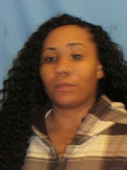 Karen Elizabeth Hall Mugshot