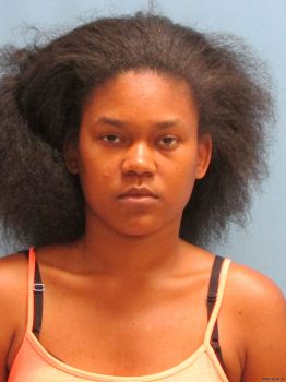 Kayla  Johnson Mugshot