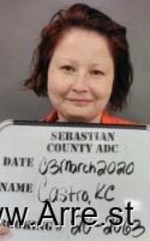 Kc Ann Castro Mugshot