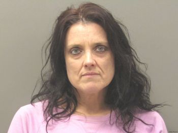 Kimberly Dawn Burkes Mugshot