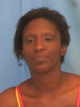 Kimberly Marie Burnett Mugshot