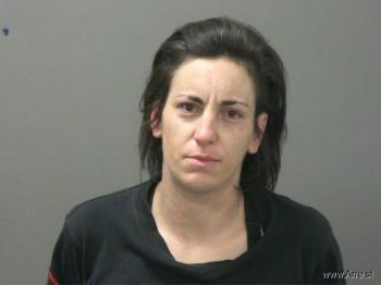 Lauren  Anderson Mugshot