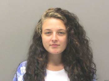 Lauren Ann Davis Mugshot