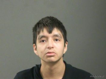 Levi  Nguyenflores Mugshot