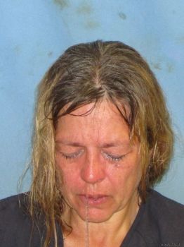 Linda Wynell Smith Mugshot