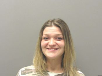 Lindsey Paige Cook Mugshot