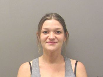 Lindsey Paige Cook Mugshot