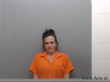 Lisa Marie Johnson Mugshot