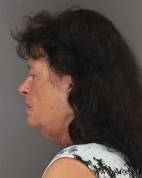 Lisa Jean Miller Mugshot