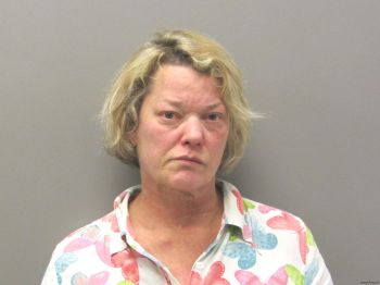 Lisa Gail Moses Mugshot