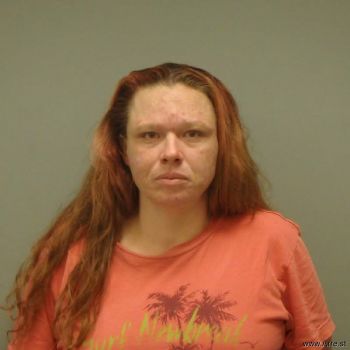 Lisa Darlene Whitehead Mugshot