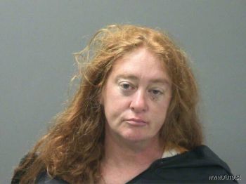 Lori  Bowman Mugshot