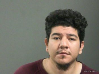 Luis  Bernal-almanza Mugshot