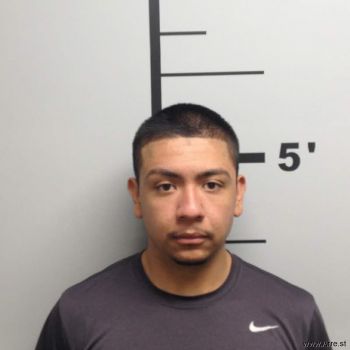 Luis  Saenz-toledo Mugshot