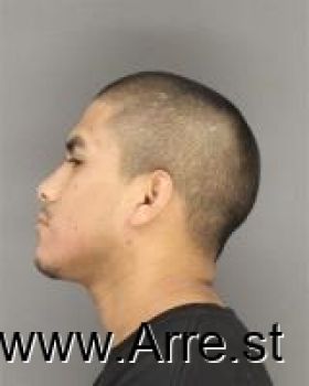 Luis Diego Vega Mugshot