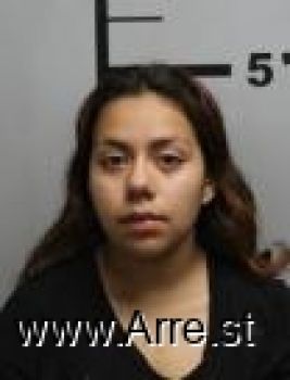 Mayra Lizet Sanchez Mugshot