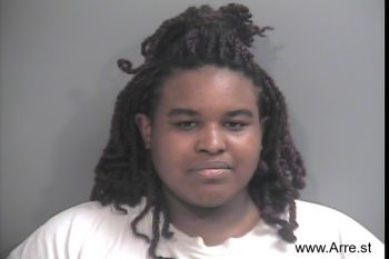 Michelle  Wilson Mugshot