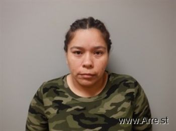 Maria Isabel Castro Barrientos Mugshot