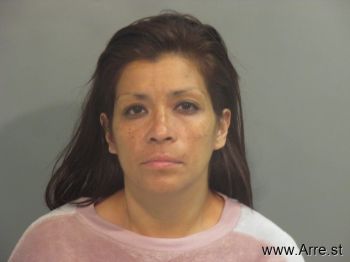 Maria  Sanchez-sierra Mugshot