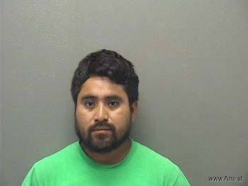 Mario Gonzalez Hernandez Mugshot