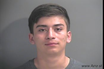 Martin  Garcia-ochoa Mugshot