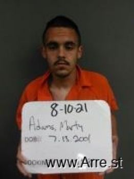 Marty Lewis Adams Mugshot