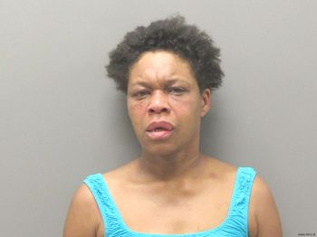 Mary Teresa Williams Mugshot