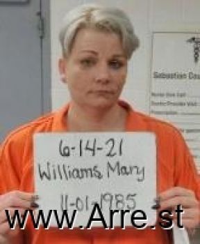 Mary Louise Williams Mugshot