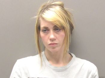 Megan Marie Creasy Mugshot