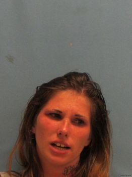 Megan Elizabeth Griffin Mugshot