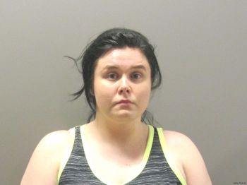 Megan Nicole Johnson Mugshot