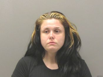 Megan Renee Johnson Mugshot