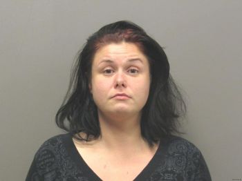 Megan Nicole Johnson Mugshot