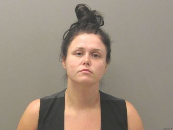 Megan Nicole Johnson Mugshot