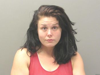 Megan Nicole Johnson Mugshot