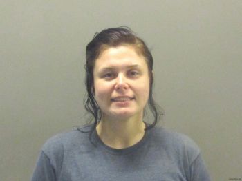 Megan Nicole Johnson Mugshot