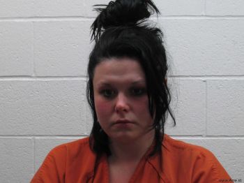 Megan Renae Johnson Mugshot